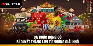 Cá Cược Bóng Cỏ: Bí Quyết Thắng Lớn Từ Những Giải Nhỏ