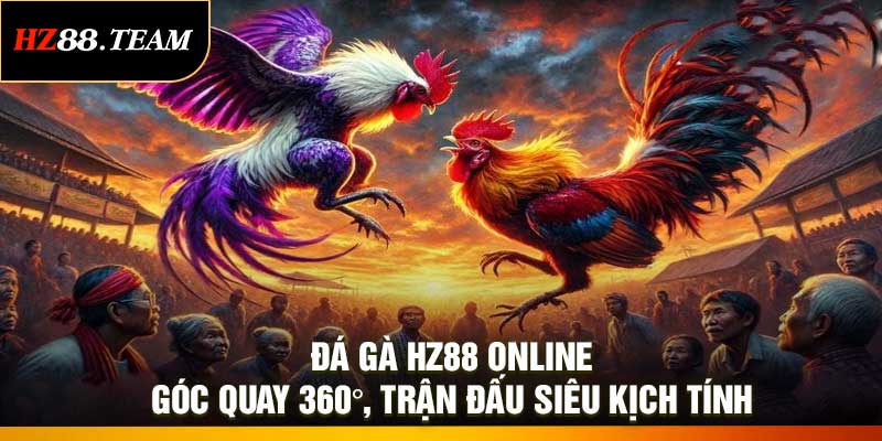 Đá Gà HZ88 Online – Góc Quay 360°, Trận Đấu Siêu Kịch Tính